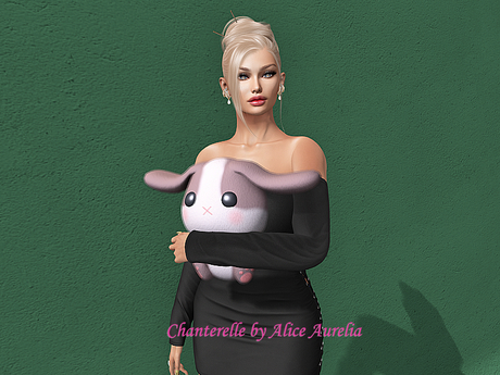 Second Life Marketplace - 5 DUST: Floppy Bunny - Brownie [animesh wearable]
